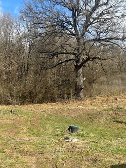 Predaj zrubu s pozemkami na farmársku usadlosť v Zvolenskej - 11