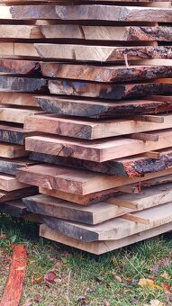 Dubove forsty dubove rezivo - 11