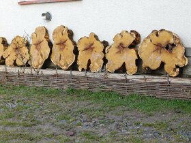 Koláče -  orechové drevo, fošne, rezivo - 11