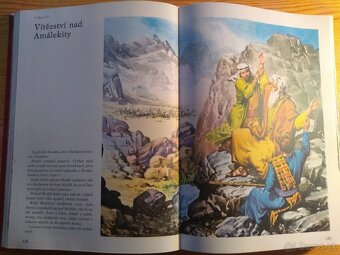 Biblie pre deti ilustrovana - 45 eur - 11