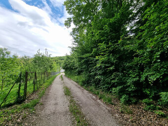 CHALÚPKA a POZEMOK 1207m2 PRI LESÍKU KRAJNÉ KOPANICE MYJAVA - 11