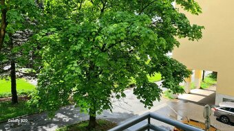 "HODINOVÝ HOTEL" - Banská Bystrica - Discreet Zone - 11