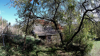 Stavebný, oplotený a slnečný pozemok s vinicou - obec Janík - 11