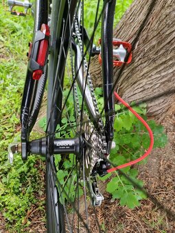 MTB bicykel LiederFox - Force - 11