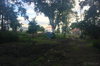 RE/MAX | Exkluzívna klasicistická kúria v Jatove– historický - 11