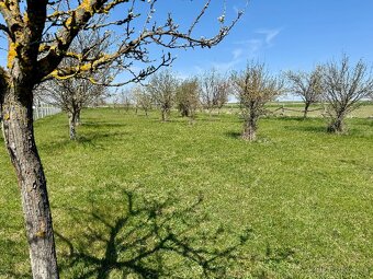 6296 m² možností: Bývanie, farma, sny – všetko v jednom - 11