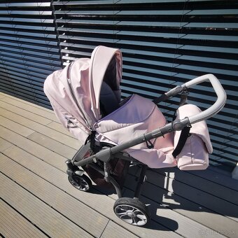 Roan bass soft pink - 11