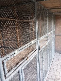 Voliera pre vtaky - 11