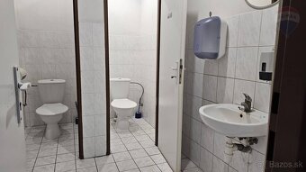 Prenájom výrobnej haly s mostovým žeriavom na 8 a 5 ton v Ni - 11
