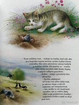 Božena Němcová Babička, Vedomosti v kocke, Budkáčik - 11