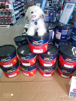 Dekoračné omietky, strojové maľovanie interiérov - 11