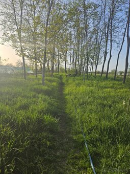 Na predaj dom v Imeli - 11