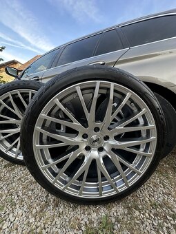 AEZ Panama High Gloss - 11