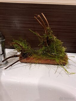 Vybavenie do akvária - 11