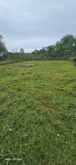 Rizikový výrub a orez stromov - 11