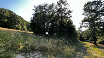 Pozemok 1223 m2 s krásnym výhľadom - Obyce - 11