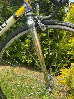 Colnago Tecnos AD - 11