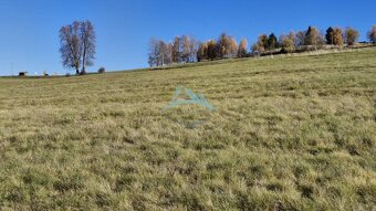 Pozemok (7750m2) s výhľadom na Nízke Tatry v obci Detvianska - 11
