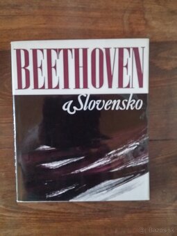 Beletrizovaný životopis - 11