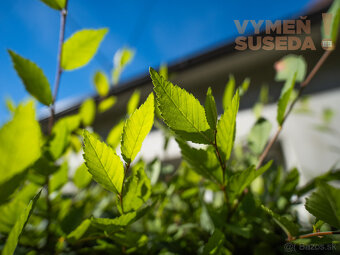 VYMEŇ SUSEDA – PONÚKAME NA PREDAJ VÝNIMOČNÝ RODINNÝ DOM PRI - 11