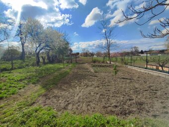 Predaj pozemok so záhradným domčekom okres Levice - 11