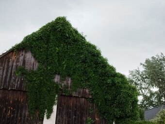 Dva rodinne domy - 11