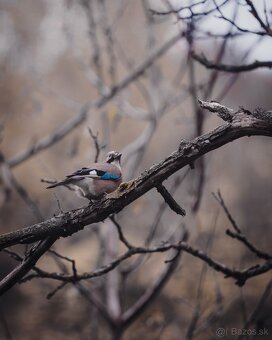 Bezzrkadlovka Canon R6 mark I - 11