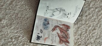 harry potter set (plášť,vajce,prutik,kravata,zlata strela... - 11