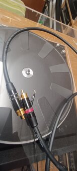 Dual CS 621 - 11