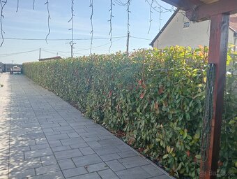 Ponúkame kosenie pozemkov - 11