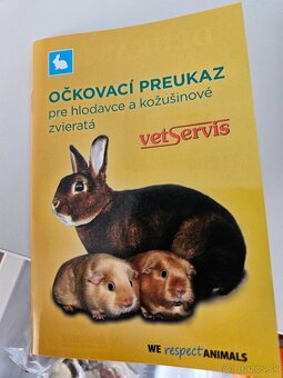 Mini kralik (samička) plus komplet vybavenie - 11