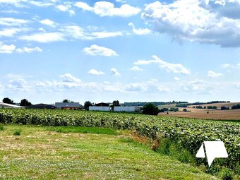 Predaj, Investičný pozemok - 800 m2, Veľký Lapáš - 11