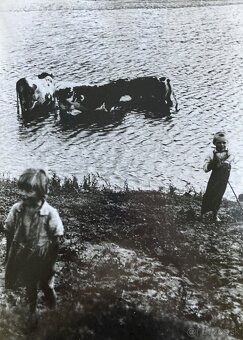 Fotografie Irena Bluhová (1904-1991) - 11