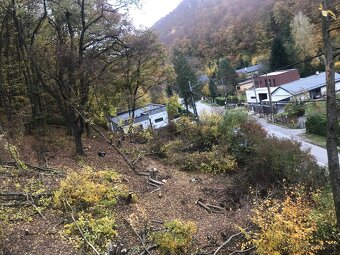 🌳 kosenie, orez / výrub stromov, ,odvoz 🌿 - 11