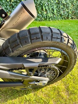 Ducati Desert X 1.maj. 10tKm - 11