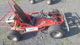 Buggy - 11