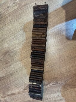 Terárium s chameleónom - 11