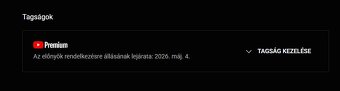 YouTube PREMIUM 12 M - 11