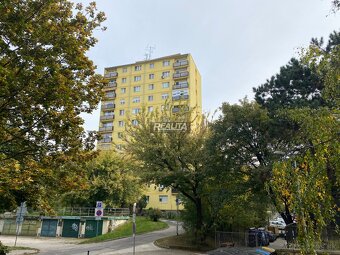 ÚTULNÝ 2-IZBOVÝ BYT , CENTRUM, REKONŠTRUKCIA - 11