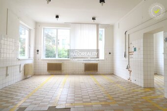 HALO reality - Predaj, polyfunkcia/obchodné priestory Nové Z - 11