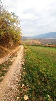 STAVEBNÉ POZEMKY HRUŠOV, rekreačná výstavba - 11