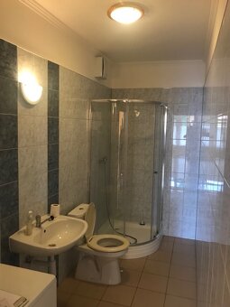 Na prenájom priestory v centre Hurbanova s parkovaním - 11