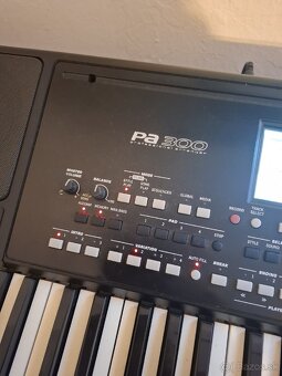 Predam-vymenim pa korg 300 - 11