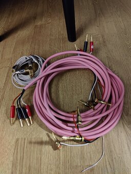 Acoustic energy aegis evo 5.1 - 11