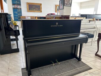 Steinway &Sons se zárukou 2 roky, doprava zdarma. - 11