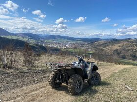 Kawasaki Brute Force 750 - 11
