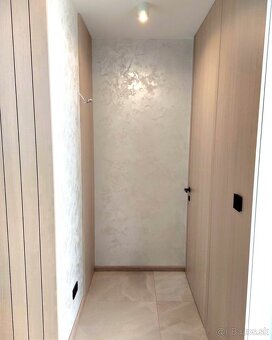 Dekoratívne omietky (benátsky štuk) - 11