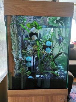 Akvárium Juwel 120 l. - 11