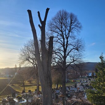 Rizikové rezanie stromov - 11