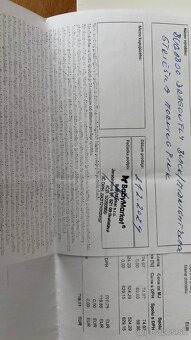 Bugaboo dragonfly s ružovou strechou - 11